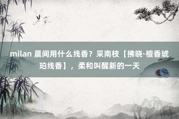 milan 晨间用什么线香？采南枝【拂晓·檀香琥珀线香】，柔和叫醒新的一天